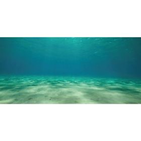 Aquatic Creations Ocean Floor Cling Aquarium Background - 36" Long x 18" Wide